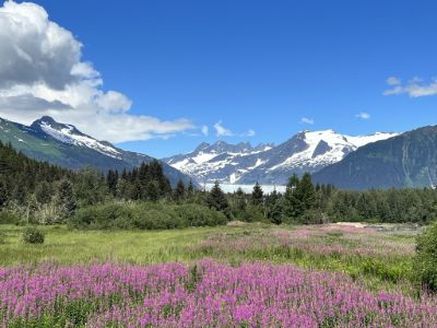 Mendenhall Glacier